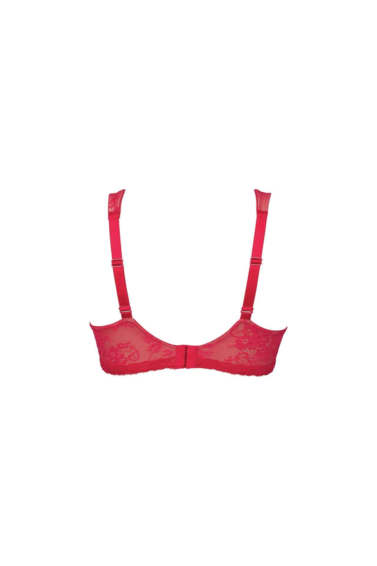 //www.esterella.nl/cdn/shop/products/AbbyVoorgevormdeBeugelBh5217251cherry__3_600x600.jpeg?v=1642274179