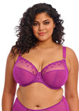 //www.esterella.nl/cdn/shop/files/480x672-pdp-mobile-EL8900-HOC-primary-Elomi-Lingerie-Matilda-Hollyhock-Underwired-Plunge-Bra_compact.jpg