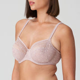 //www.esterella.nl/cdn/shop/files/Low-ps_0141970_BDS_2_compact.jpg