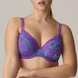 //www.esterella.nl/cdn/shop/files/ps_0242370_ACI_compact.jpg