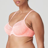 //www.esterella.nl/cdn/shop/products/Low-ps_0142230_PPF_2_compact.jpg