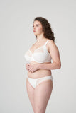 //www.esterella.nl/cdn/shop/products/eservices_primadonna-lingerie-underwired_bra-deauville-0161815-natural-2_3551388_compact.jpg